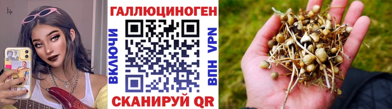 Галлюциногенные грибы Psilocybe  MEGA маркетплейс  Оленегорск 